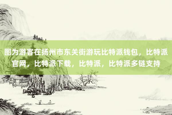 图为游客在扬州市东关街游玩比特派钱包，比特派官网，比特派下载，比特派，比特派多链支持