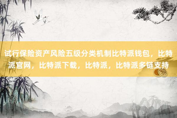 试行保险资产风险五级分类机制比特派钱包，比特派官网，比特派下载，比特派，比特派多链支持