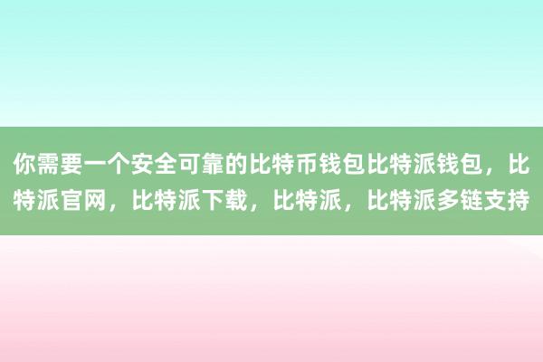 你需要一个安全可靠的比特币钱包比特派钱包，比特派官网，比特派下载，比特派，比特派多链支持