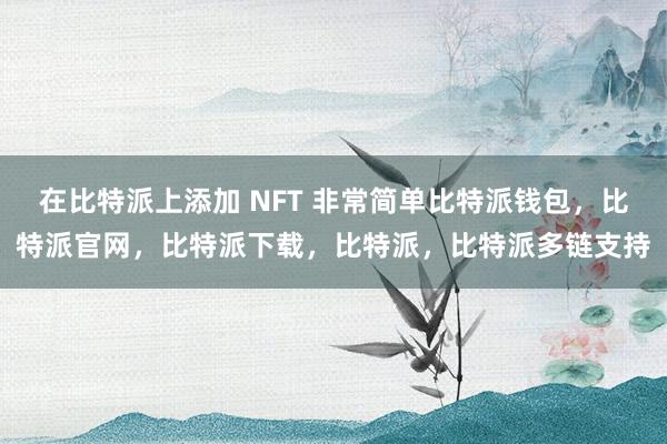 在比特派上添加 NFT 非常简单比特派钱包，比特派官网，比特派下载，比特派，比特派多链支持