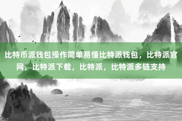 比特币派钱包操作简单易懂比特派钱包，比特派官网，比特派下载，比特派，比特派多链支持