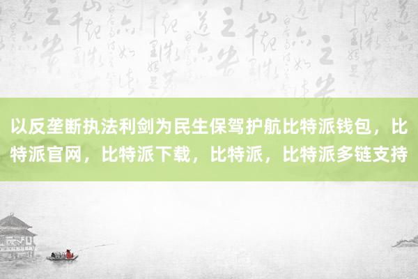 以反垄断执法利剑为民生保驾护航比特派钱包，比特派官网，比特派下载，比特派，比特派多链支持