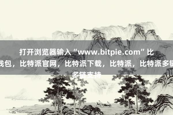 打开浏览器输入“www.bitpie.com”比特派钱包，比特派官网，比特派下载，比特派，比特派多链支持