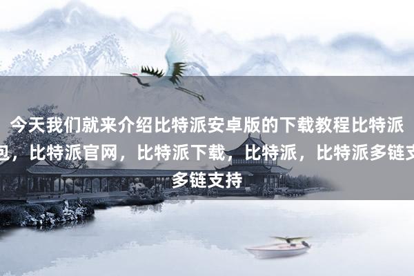 今天我们就来介绍比特派安卓版的下载教程比特派钱包，比特派官网，比特派下载，比特派，比特派多链支持