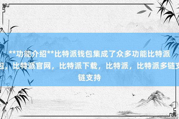 **功能介绍**比特派钱包集成了众多功能比特派钱包，比特派官网，比特派下载，比特派，比特派多链支持