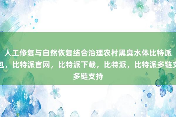 人工修复与自然恢复结合治理农村黑臭水体比特派钱包，比特派官网，比特派下载，比特派，比特派多链支持