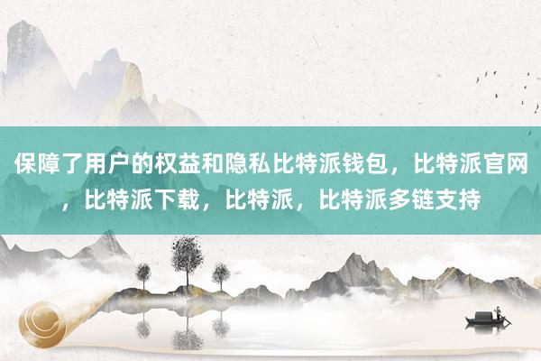 保障了用户的权益和隐私比特派钱包，比特派官网，比特派下载，比特派，比特派多链支持