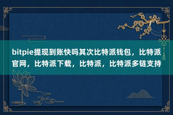 bitpie提现到账快吗其次比特派钱包，比特派官网，比特派下载，比特派，比特派多链支持