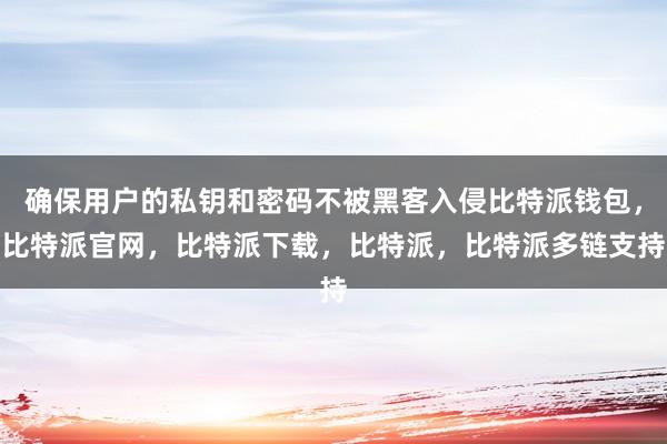 确保用户的私钥和密码不被黑客入侵比特派钱包，比特派官网，比特派下载，比特派，比特派多链支持