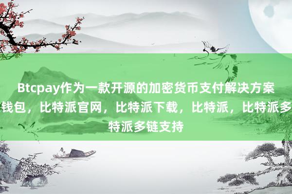 Btcpay作为一款开源的加密货币支付解决方案比特派钱包，比特派官网，比特派下载，比特派，比特派多链支持