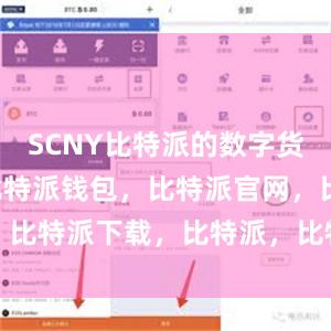 SCNY比特派的数字货币SCNY比特派钱包，比特派官网，比特派下载，比特派，比特派多链支持