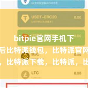 bitpie官网手机下载安装完成后比特派钱包，比特派官网，比特派下载，比特派，比特派多链支持