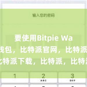 要使用Bitpie Wallet比特派钱包，比特派官网，比特派下载，比特派，比特派多链支持