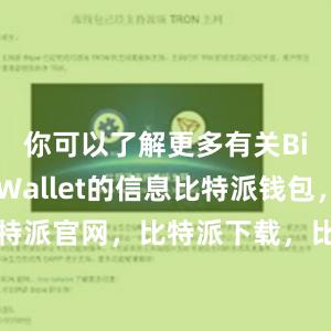 你可以了解更多有关Bitpie Wallet的信息比特派钱包，比特派官网，比特派下载，比特派，比特派多链支持