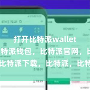 打开比特派wallet应用程序比特派钱包，比特派官网，比特派下载，比特派，比特派多链支持