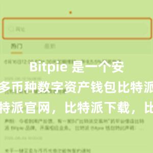 Bitpie 是一个安全、易用的多币种数字资产钱包比特派钱包，比特派官网，比特派下载，比特派，比特派多链支持