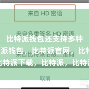 比特派钱包还支持多种语言比特派钱包，比特派官网，比特派下载，比特派，比特派多链支持