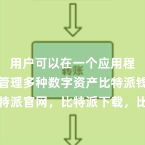 用户可以在一个应用程序中方便管理多种数字资产比特派钱包，比特派官网，比特派下载，比特派，比特派多链支持